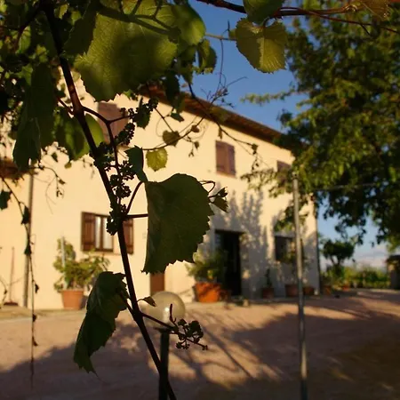 In Umbria * Монтефалько